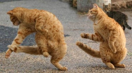 ��������� ��������