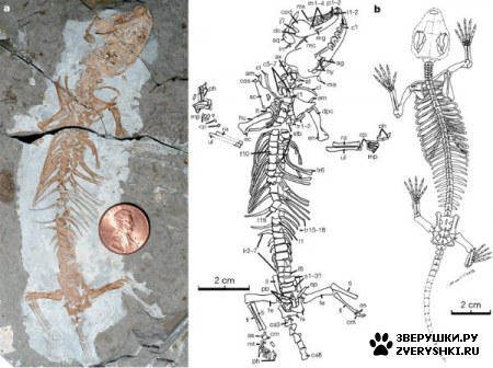 ��������� ��������