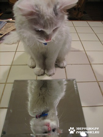 ��������� ��������