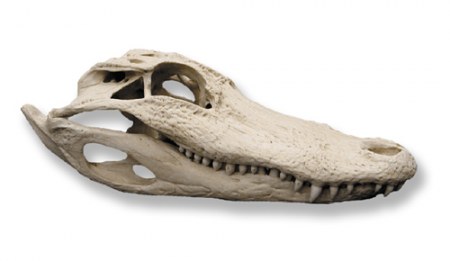 ��������� ��������