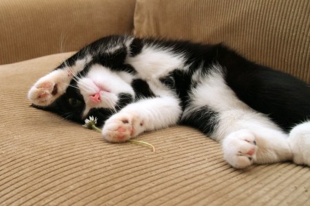 ��������� ��������