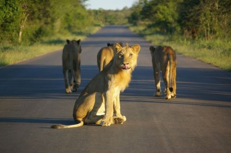 ��������� ��������