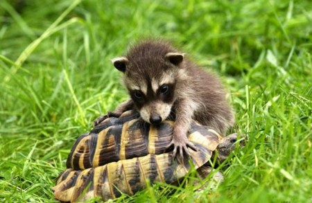 ������ :) (7 ����)