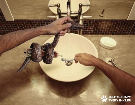 ������ ������ :)