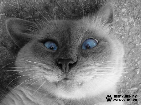 ����� ������� ����� ����� :)