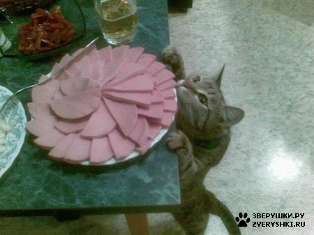 ���������� �� �������� :)