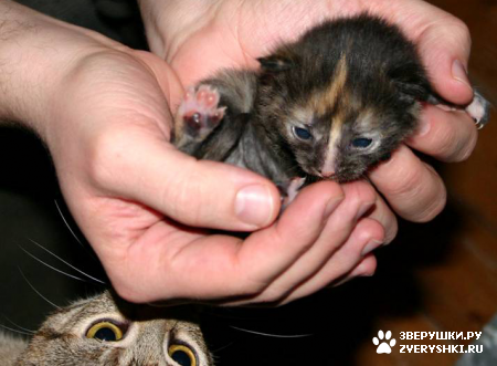 ������� ��� ���� :)