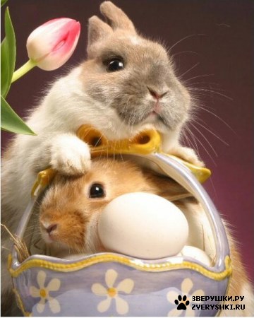 ��������� :)