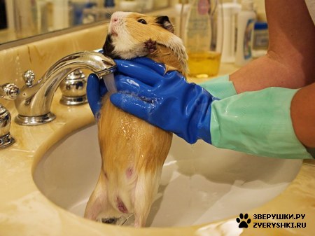 ��� ���� �������� :)