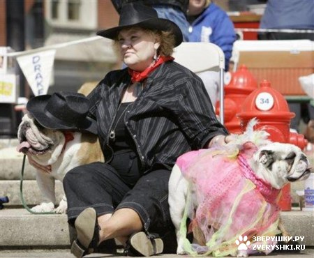 �������� ������� :) (8 ����)