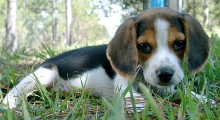 �������� - ������� :) (8 ����)