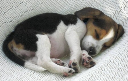 �������� - ������� :) (8 ����)