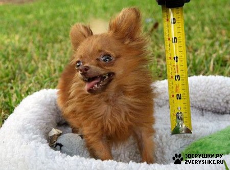 �� ����� ����������� ����� :) (8 ����)