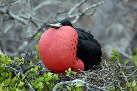 ��������� ������� :)