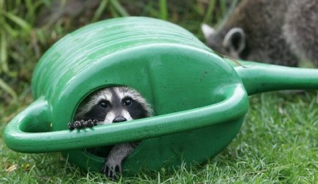 ������... :)