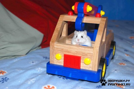 ������� ��� ��������! ;)