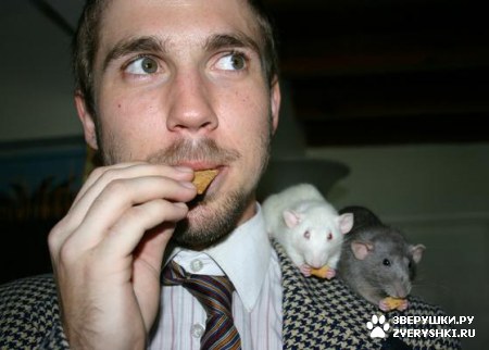 ������ ������� - �������� �� ������� :)