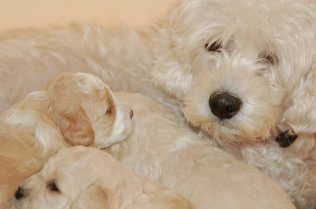 ���� � ���� :) (13 ����)