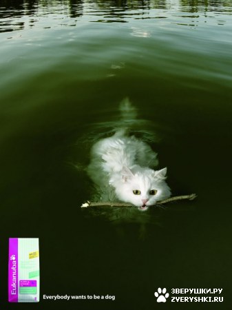 �������� ������� ��������� ����� :) (4 ����)