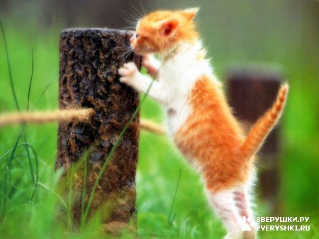 ��������� ������� :)