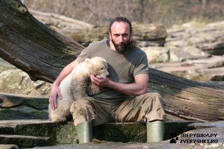 ���������� ���� (20 ����)