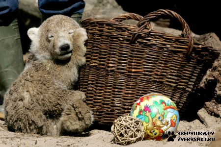 ���������� ���� (20 ����)