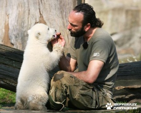 ���������� ���� (20 ����)