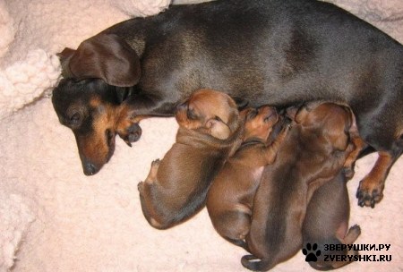 ����� �������� :) (2 ����)