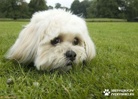 ������ �� ����������? ���! :)