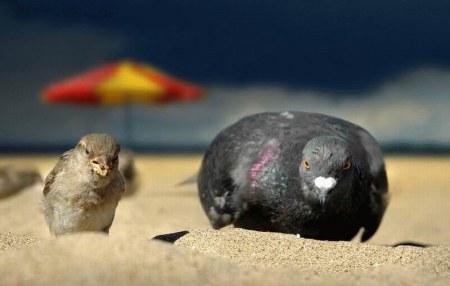 ������� � ������ :)