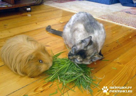 � �� ��� �����? :)