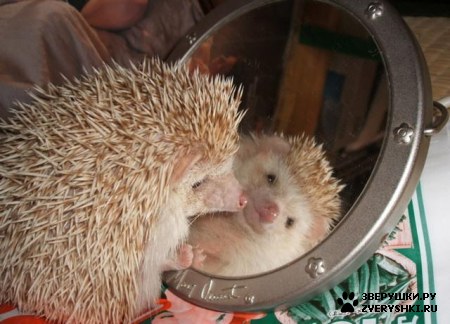 � �� �� ����� ���� �����? :)