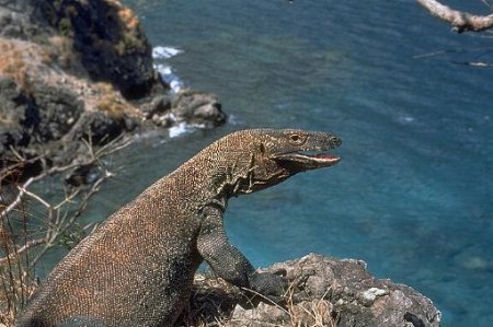 ������������ ���� - ������ (7 ����)