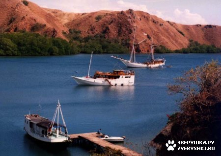 ������������ ���� - ������ (7 ����)