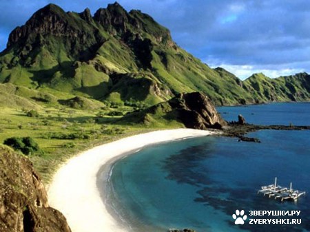 ������������ ���� - ������ (7 ����)