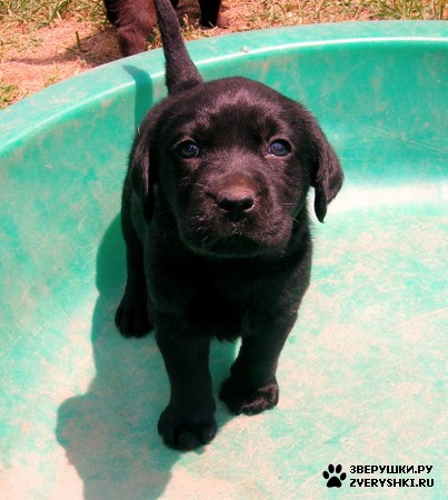 ������� �� ��� ��� �����? :)