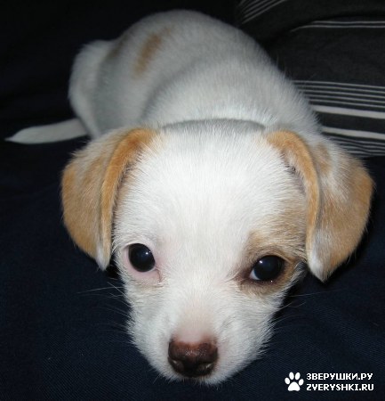 ����, ������ �����-��� :) (13 ����)