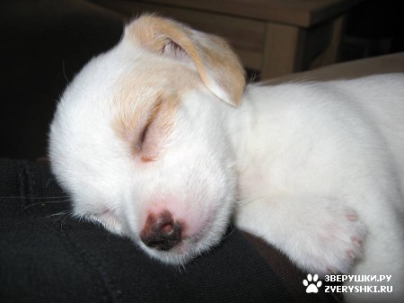 ����, ������ �����-��� :) (13 ����)