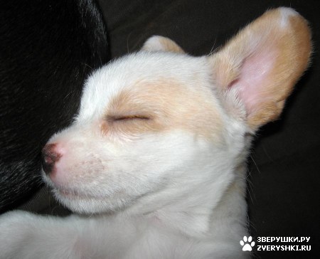 ����, ������ �����-��� :) (13 ����)