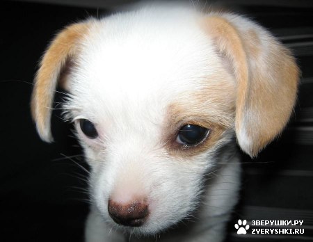 ����, ������ �����-��� :) (13 ����)