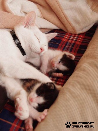 ����� � ����� �� ���� ������ :)