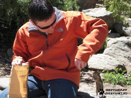 ���������� :)