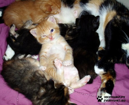 ������! :)