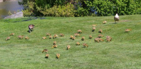 ������ �������� :)