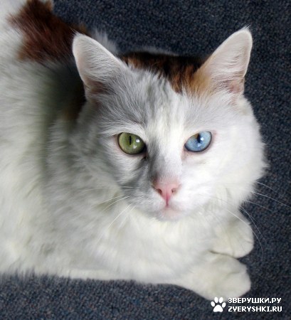 ������������ ������ :)