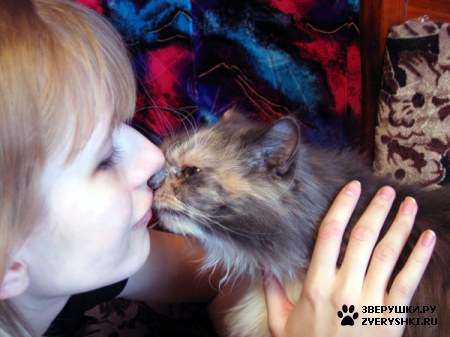 ������� �� ����� ����� (17 ����������)