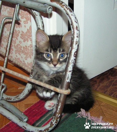 ����������