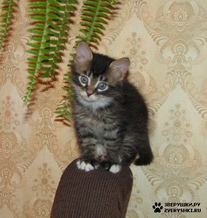 ����������