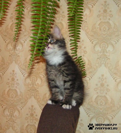 ����������