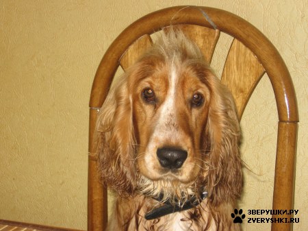 ����������